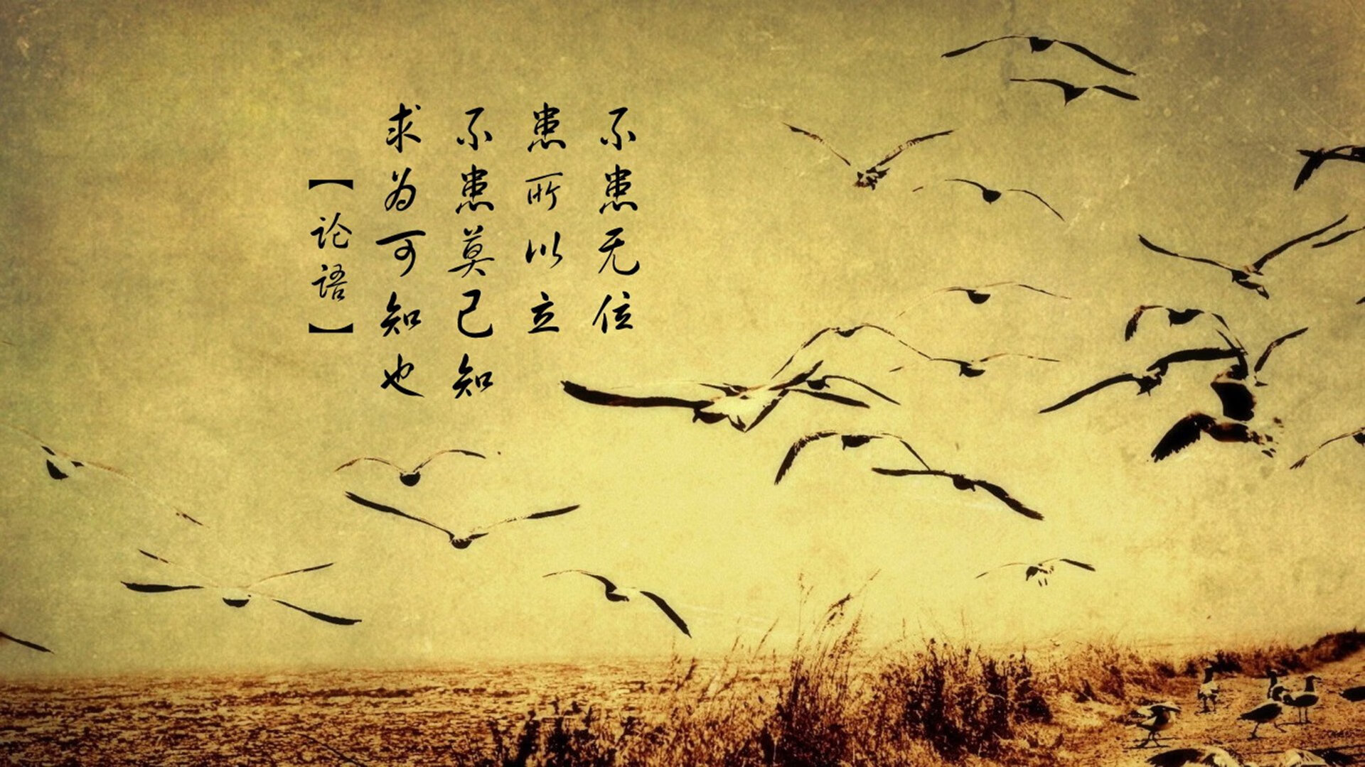 上海海港球员荣获月度最佳，上海海港球员年薪