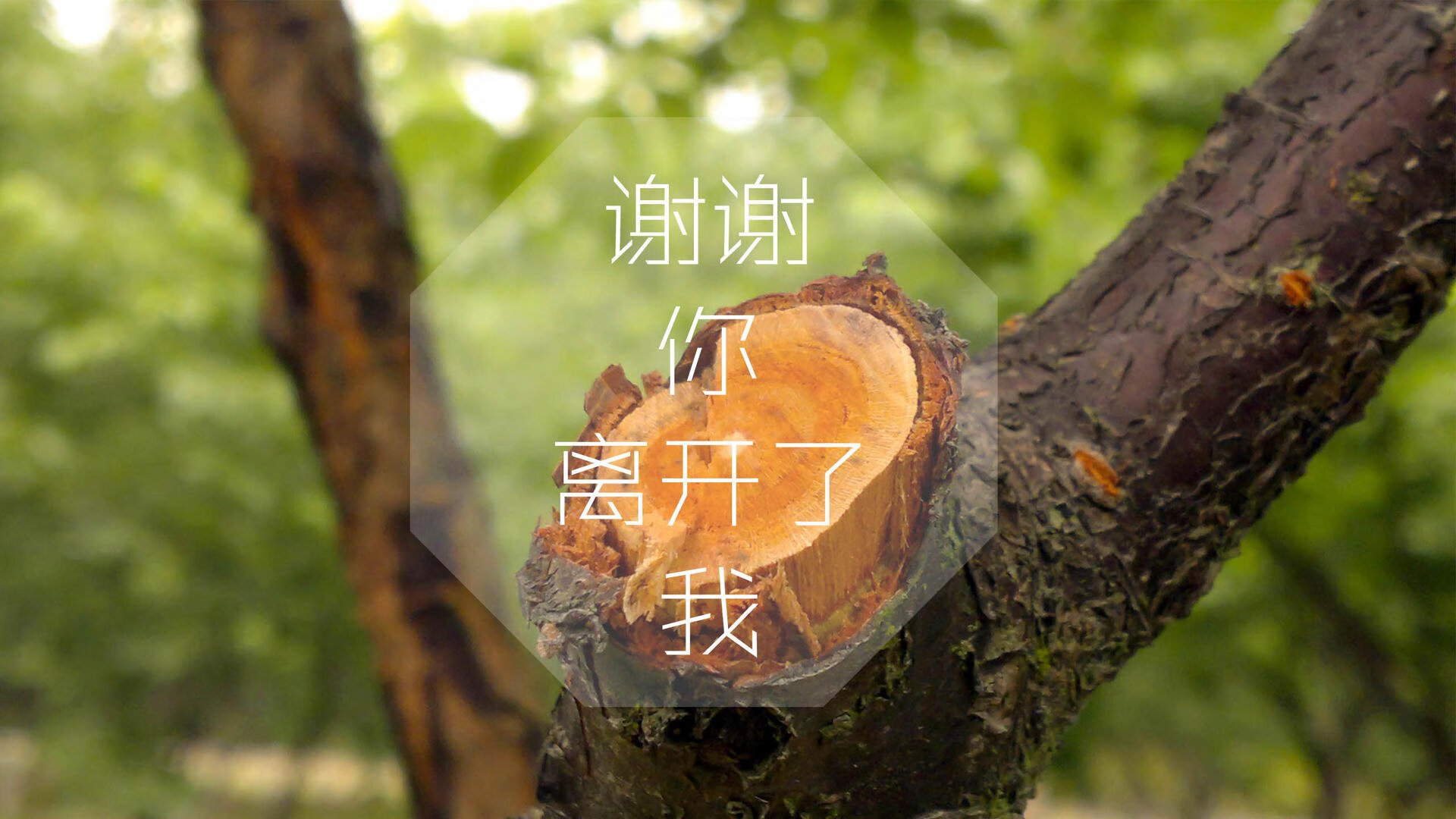 体育新闻中心启动体育AI内容创作应用示范项目，体育类新闻报道