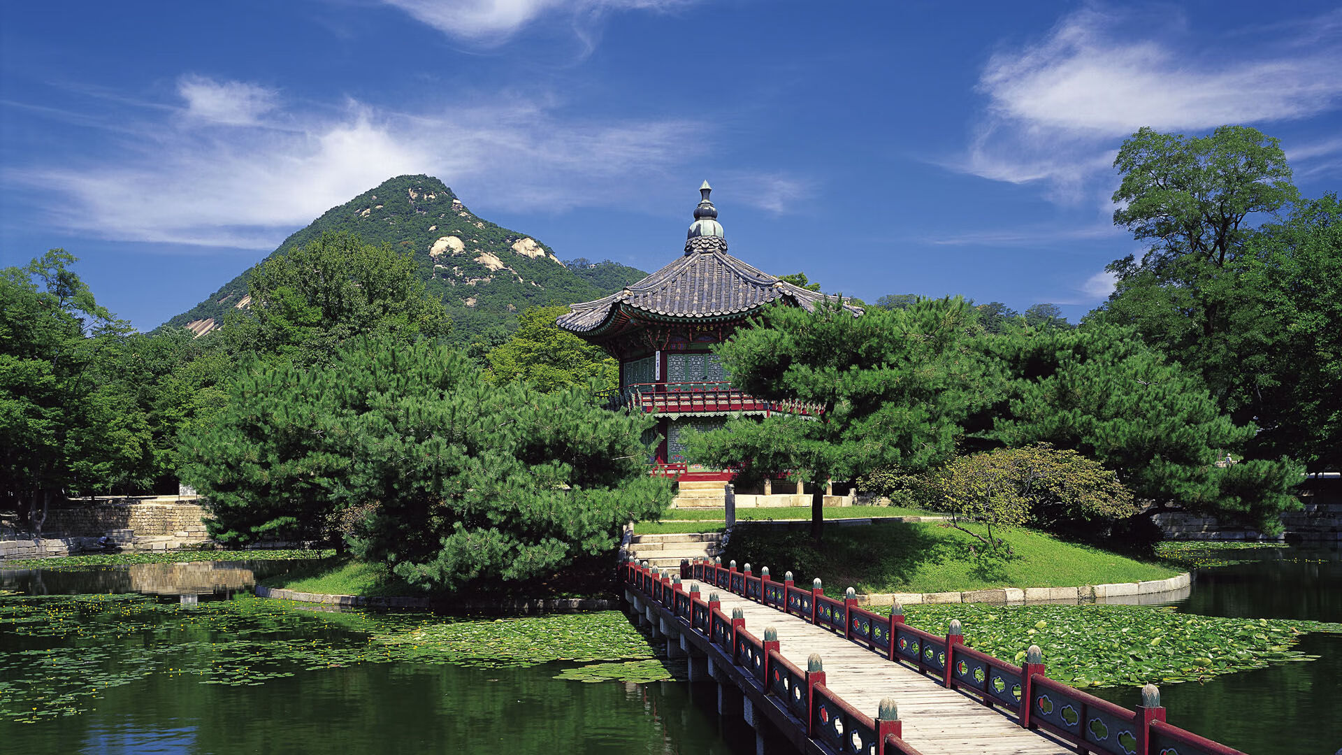 全国青少年“梦想起飞”篮球马拉松精彩纷呈，2020马拉松蓝皮书