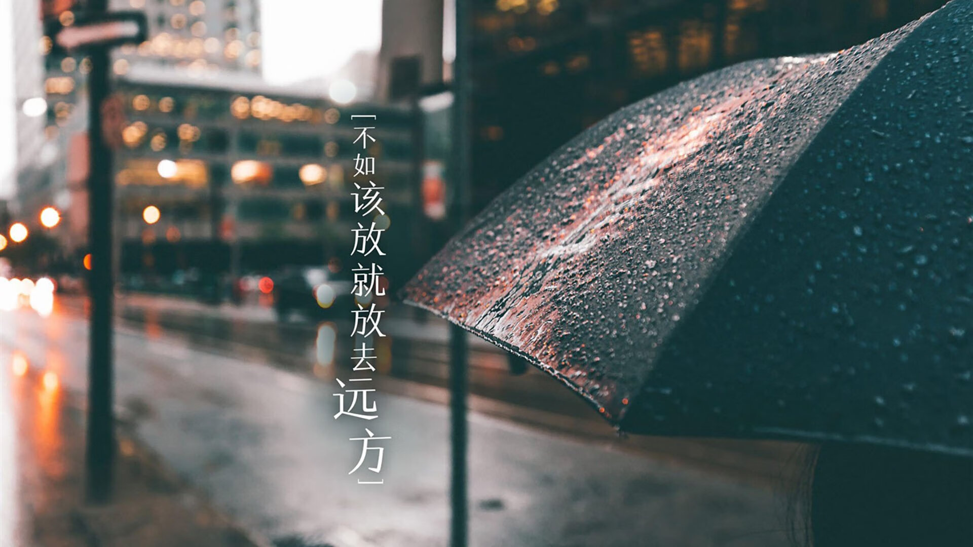 开云全站-新星崭露头角：未来之星的闪耀时刻，未来之星后一句