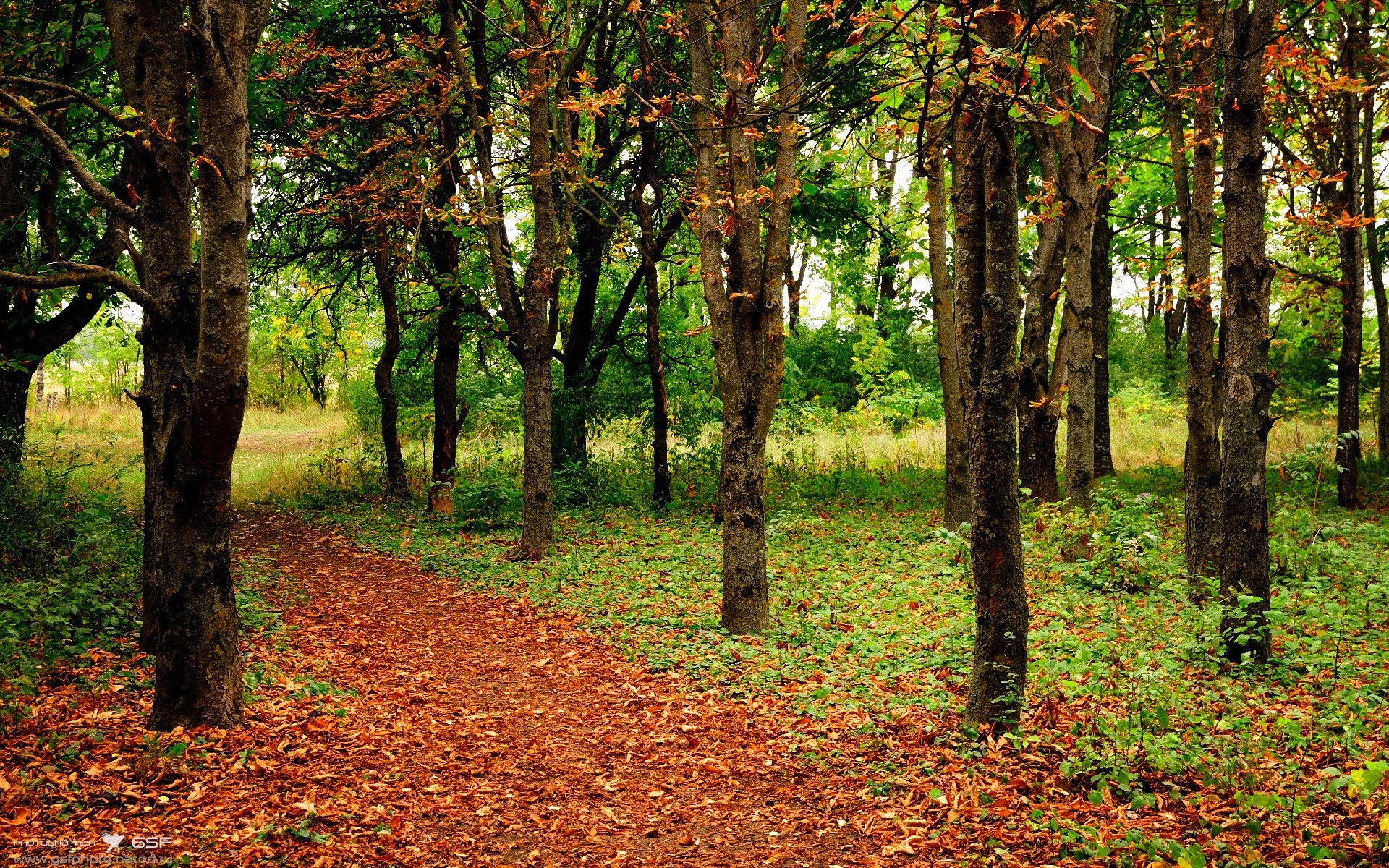 kaiyun开云·官方网站-法甲英雄集结：劲射、妙传、救球精彩不断，法甲劲旅有哪些