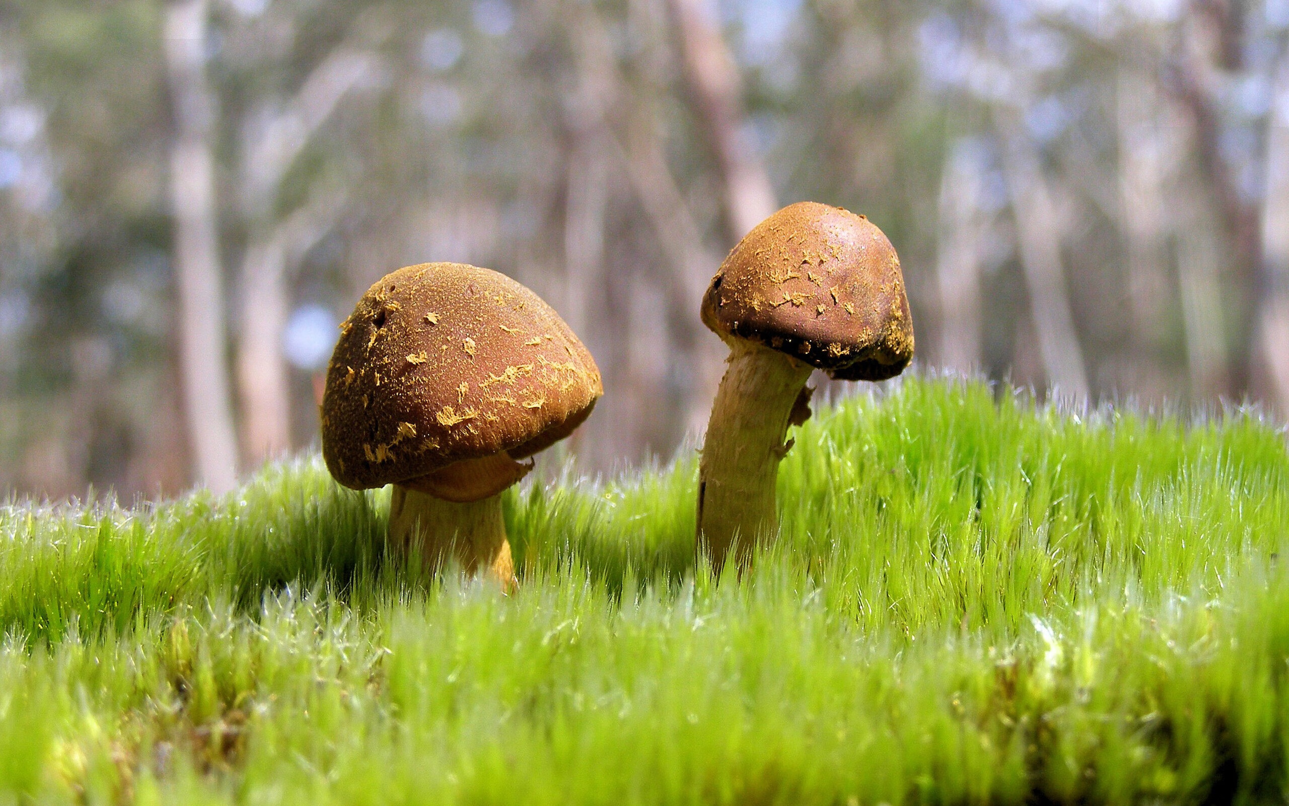 开云官方网页登录-特斯·冯·迪克：在进攻和防守之间自由切换，助力南非队打出流畅配合