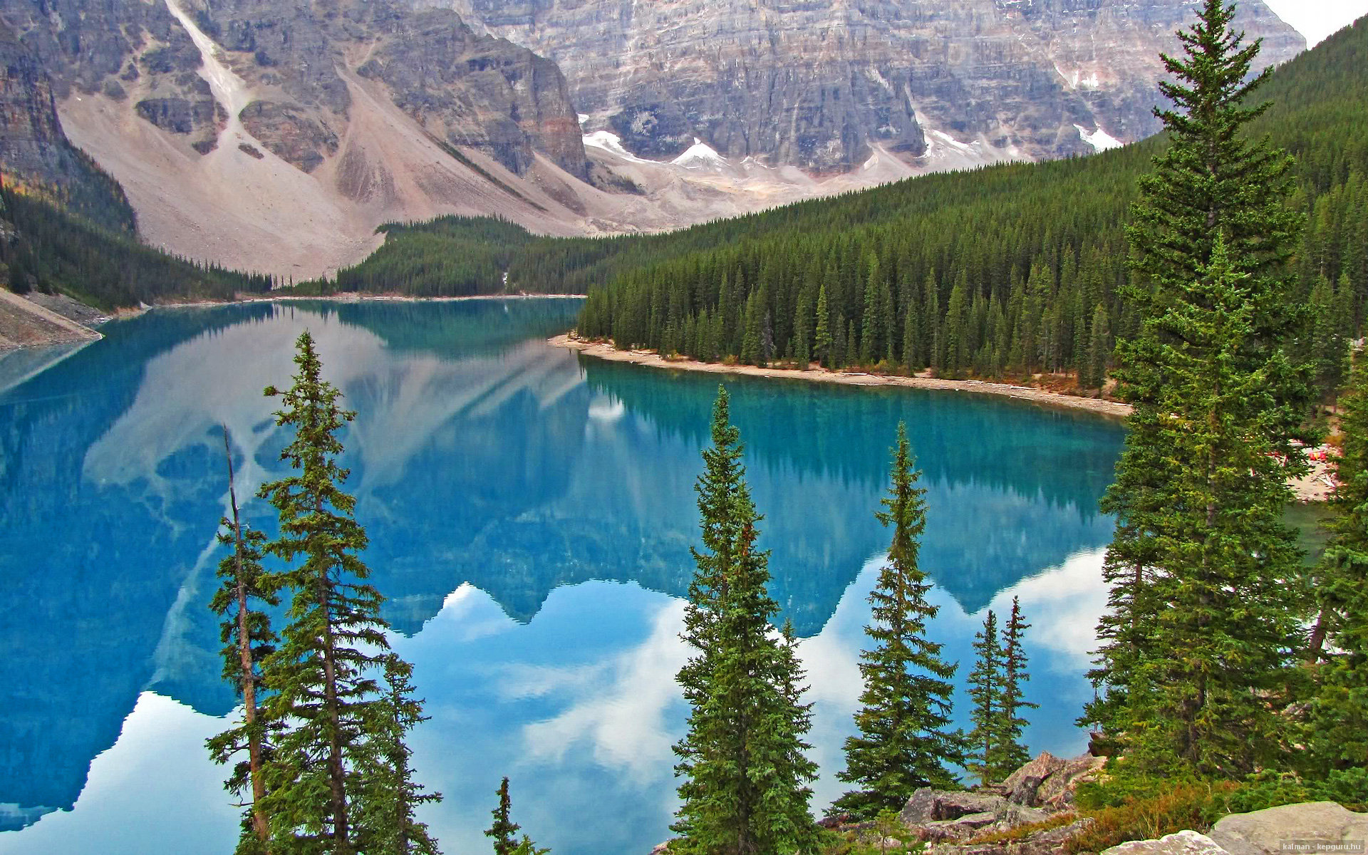 男子跳水动作精准度大幅提升,男子跳水视频比赛视频尴尬