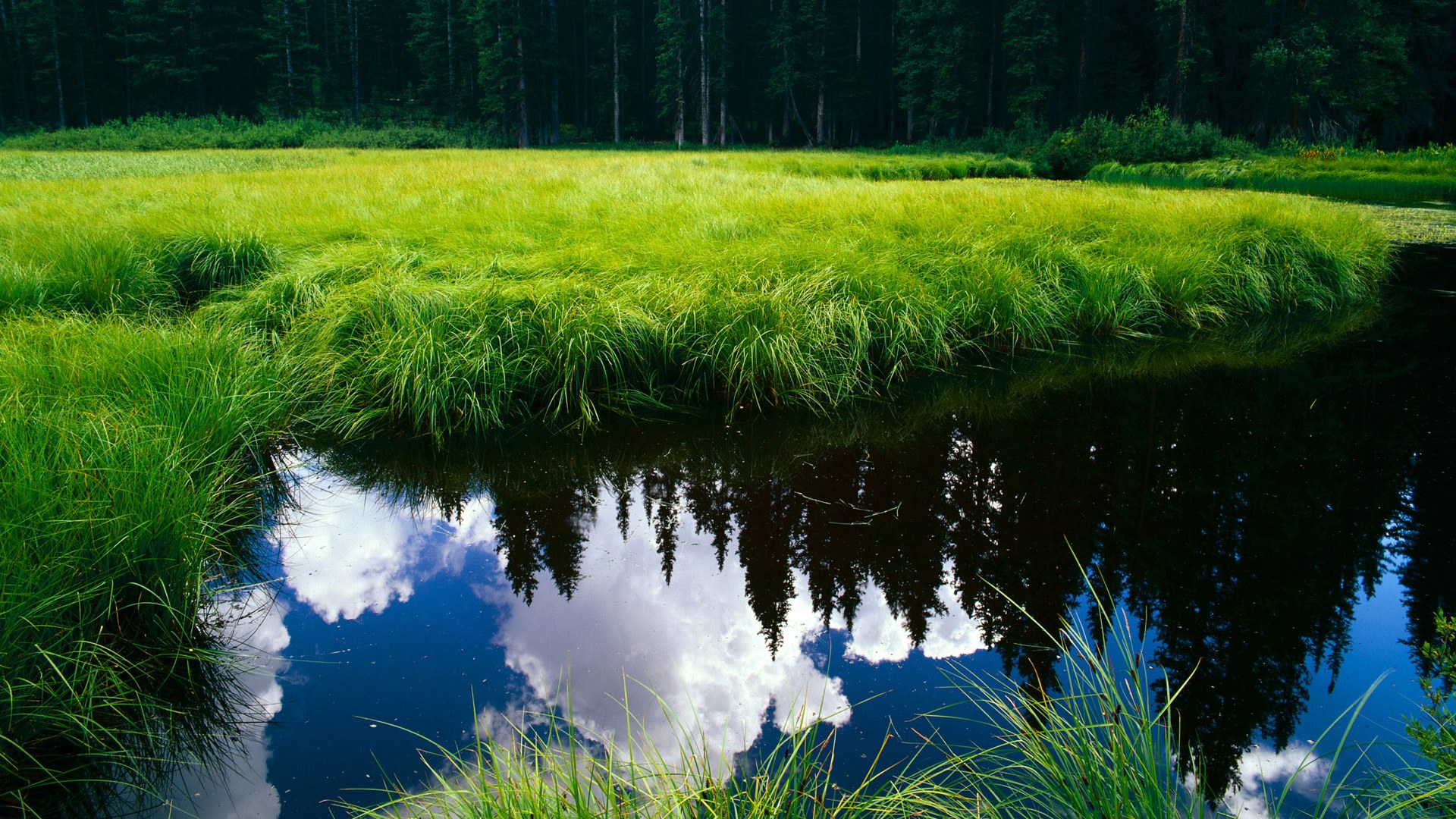 美国队接力技术细节获教练高度评价，美国队接力赛