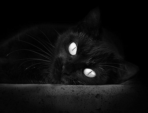 足球直播技术引入实时人工字幕系统，足球文字直播软件