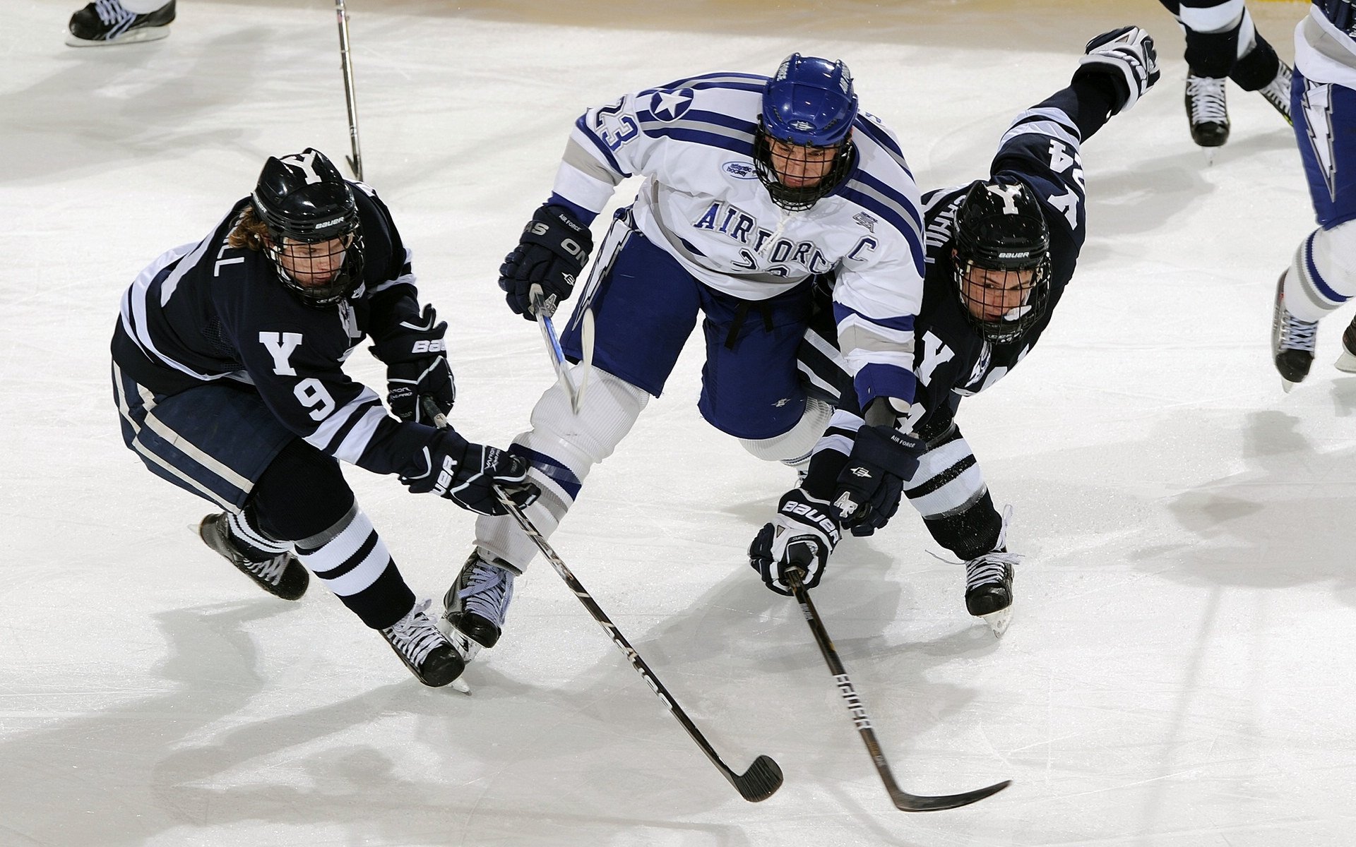 摩洛哥骑手法赫德·阿尔·哈桑在2024年巴黎奥运会三项赛中获得第25名，表现出色。