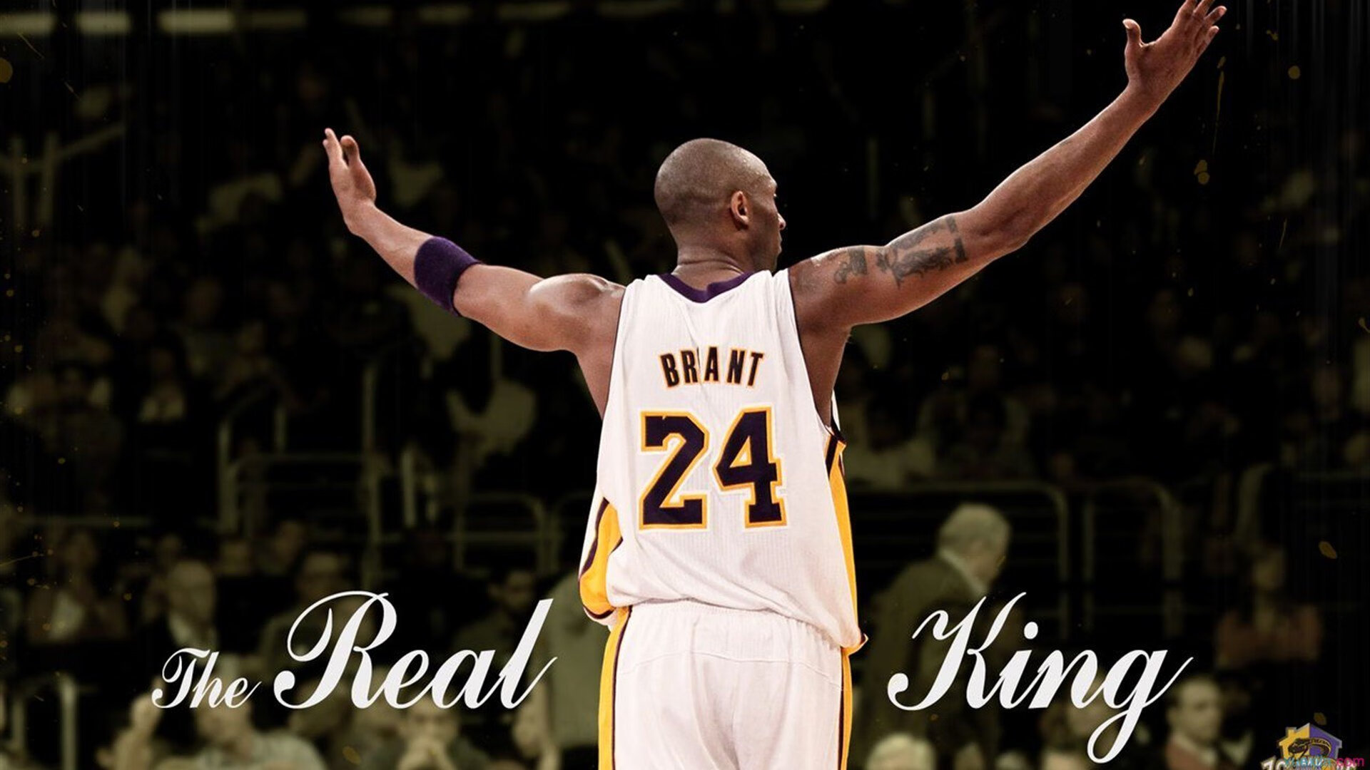 电竞行业的社会责任：公益、教育与文化传播，电竞的社会意义