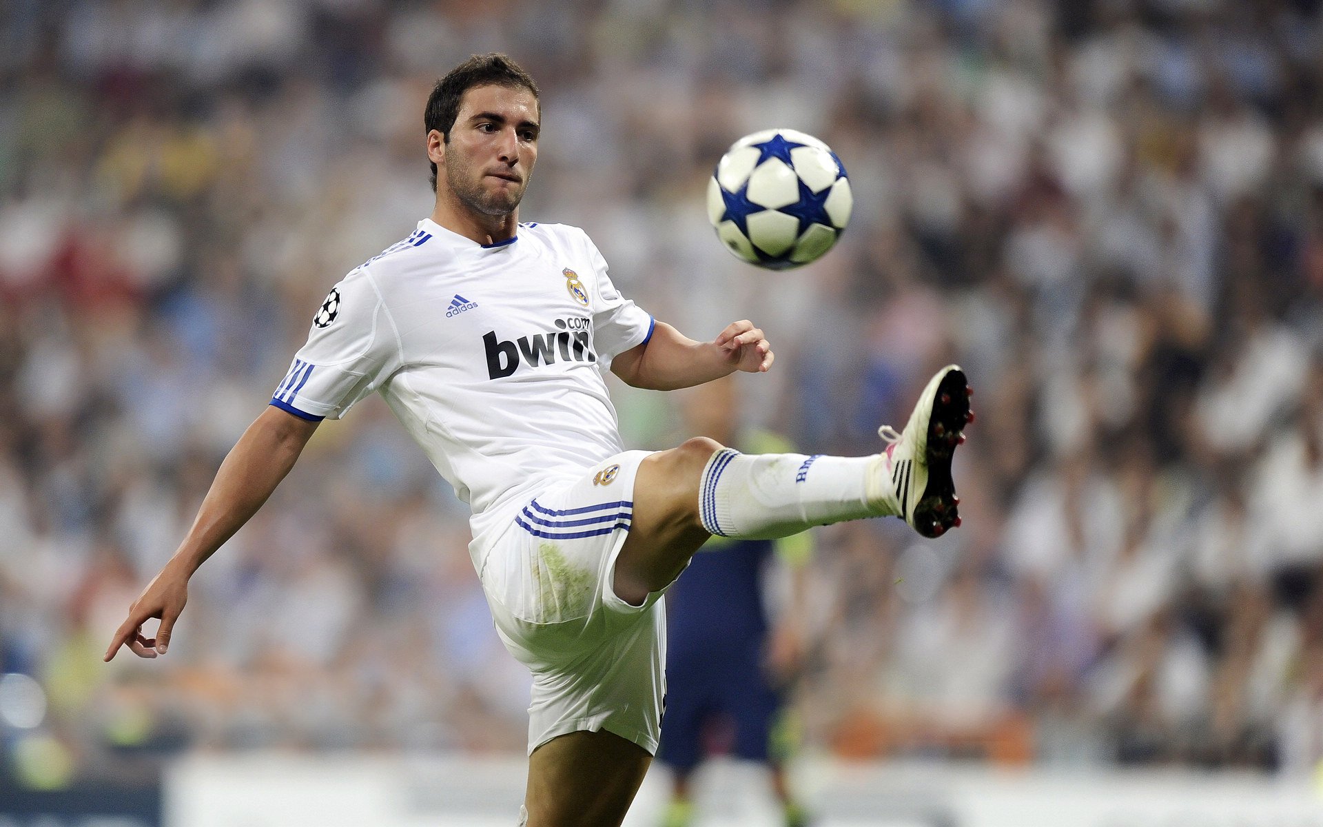 车迷自制内容:Vlog、短视频风靡赛场,车迷是传销吗